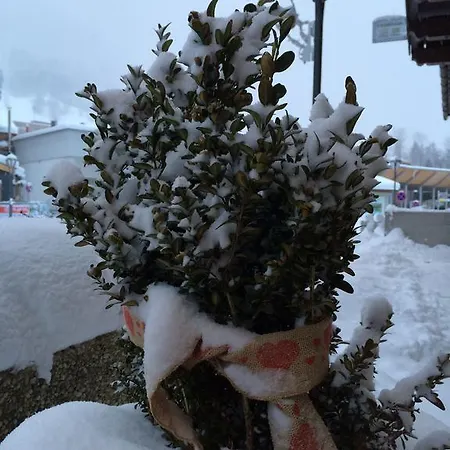 Lägenhet Haus Hannes Spiss Sankt Anton am Arlberg