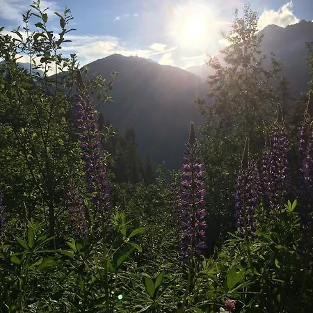 公寓 Haus Hannes Spiss *