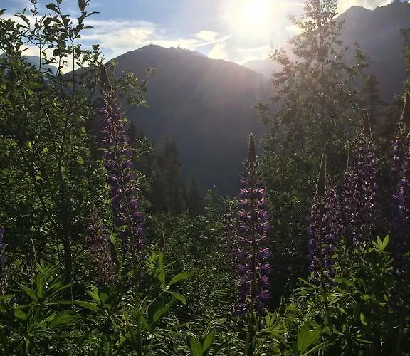 Apartamento Haus Hannes Spiss *