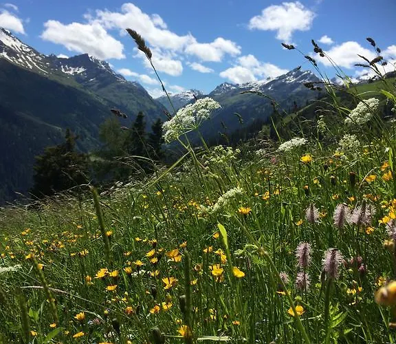 Apartamento Haus Hannes Spiss Sankt Anton am Arlberg
